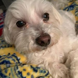 Meet your Posher, Lynette